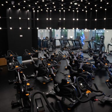 MTC06619-scaled.jpg MTC06619-scaled.jpg